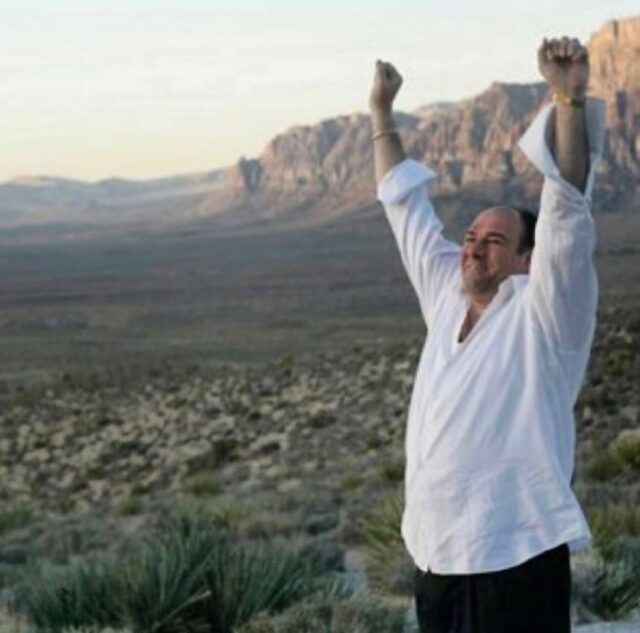 That Thursday feeling when the week didn’t kill you—so you celebrate like a boss.#TonySoprano #ThursdayMood #WeekendVibes #BossEnergy #SopranosStyle #AlmostFriday #MadeManMoves #EndOfWeekEnergy #AlphaVibes #ThrowbackVibes